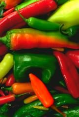 Chilies — the more the merrier!