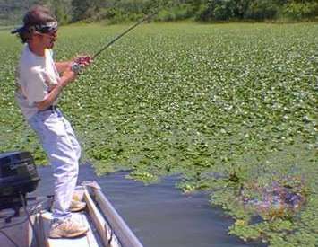 You're going to have to lean on fish to move them out of the jungle, so use tackle sturdy enough to lean on.