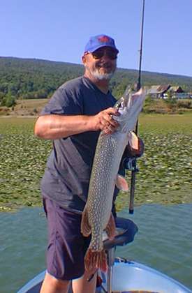 Largemouth aren't the only predators living under that expanse of water chestnut