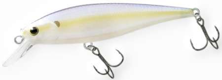 Pointer 100 - Chartreuse Shad.