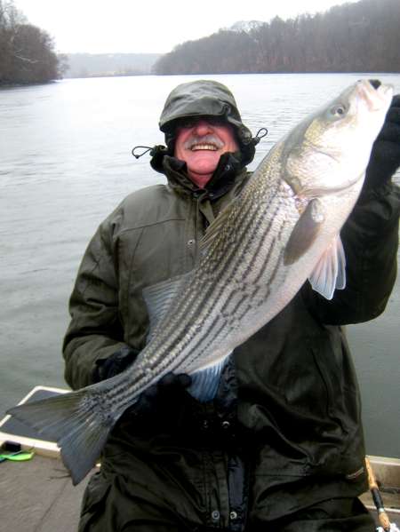 The last fish we boated was the only 'keeper' of the day. 